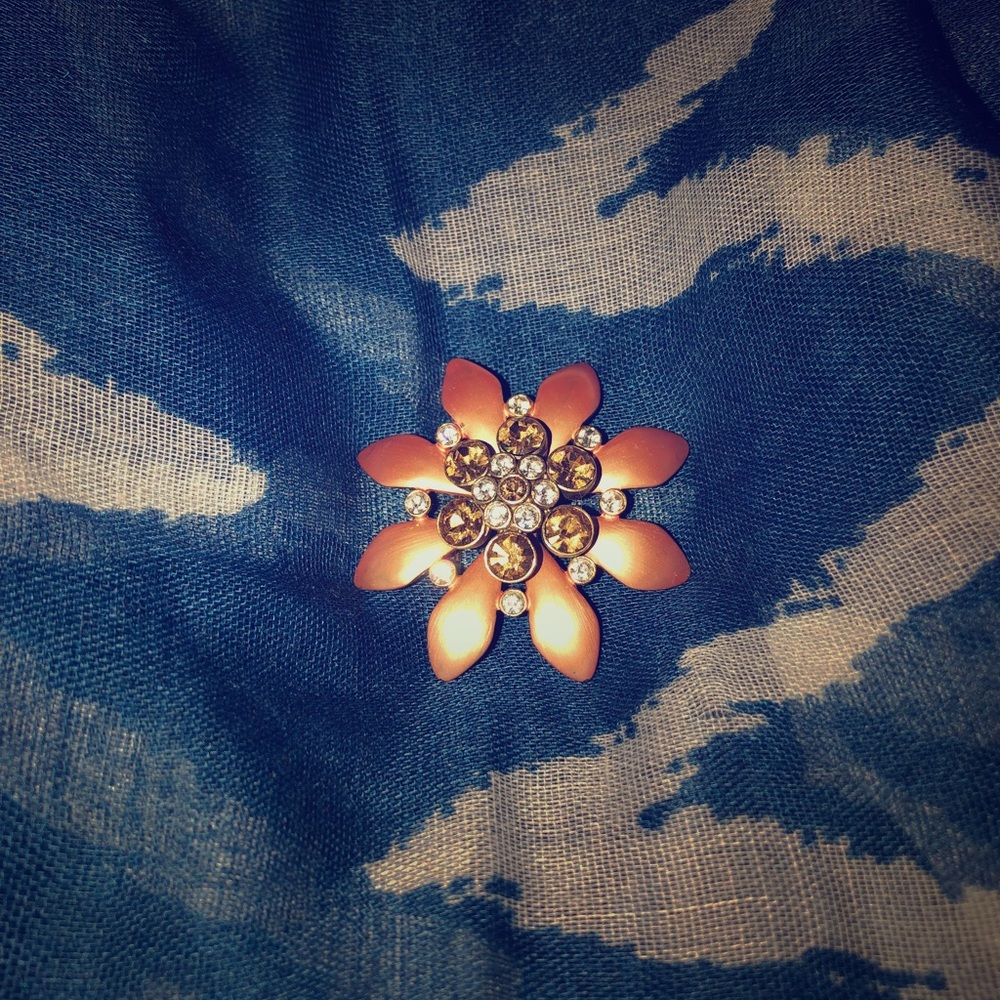 Brooches are back woohoo